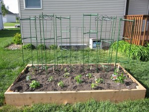 Photograph of a freshly planted raised bed garden.