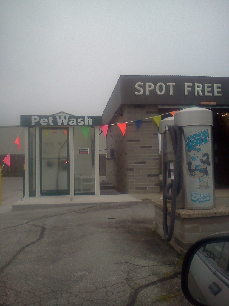 Photo of a dog washing booth in North Liberty, Iowa.